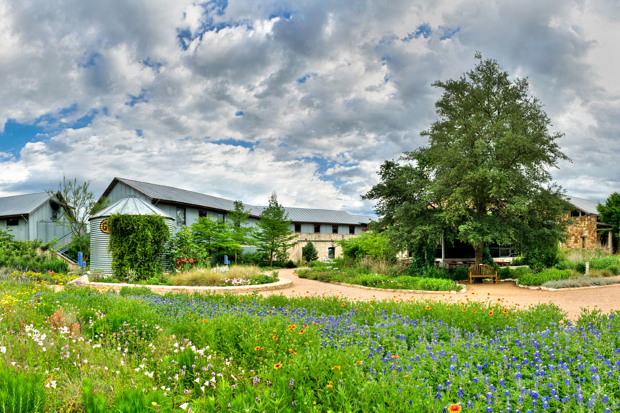 Lady Bird Johnson Wildflower Center